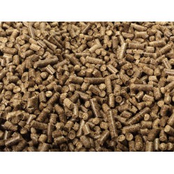 Wood Pellet Wood Pellet
