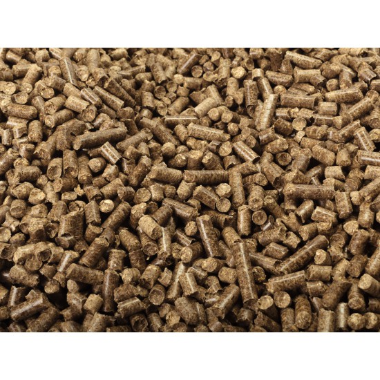 Wood Pellet