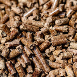 Wood Pellet Wood Pellet